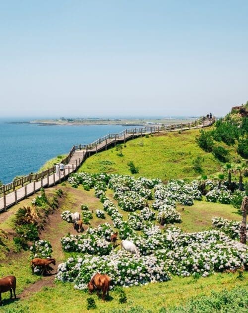 Songaksan Mountain trail with sea in Jeju Island, Korea