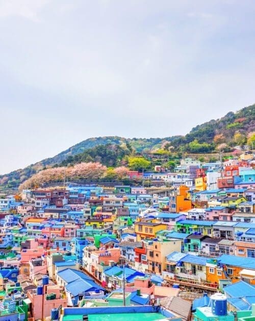 Korea - August 4, 2022 : Gamcheon village is one of most famous tourist destination, located at Busan, South Korea