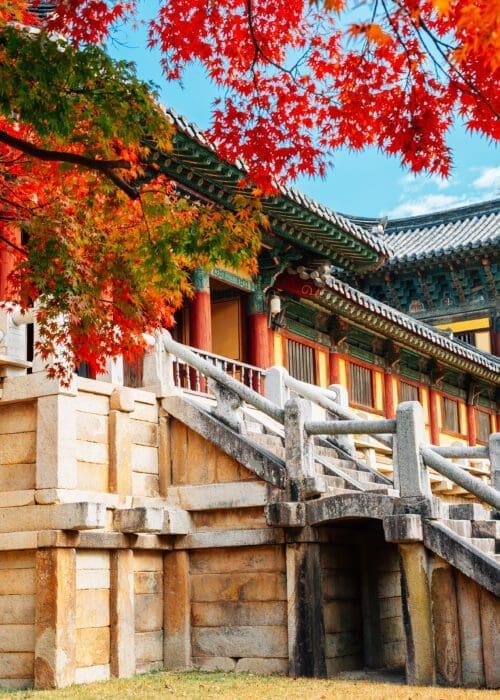 Bulguksa temple with autumn leaves in Gyeongju, Korea