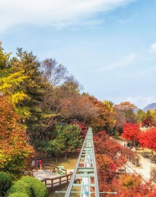 Nami Island sky bike rail in Nami Island, South Korea