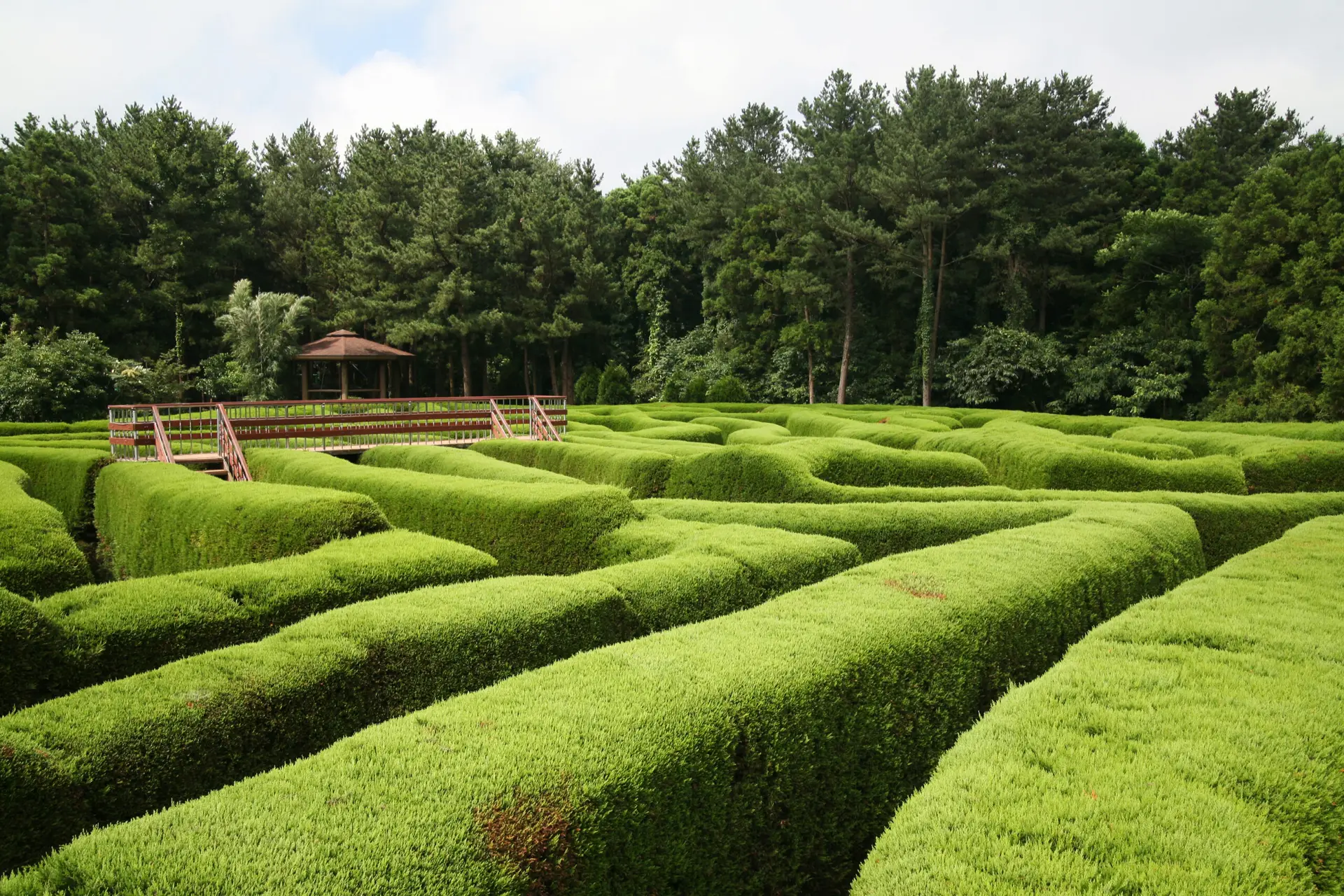 Gimnyeong Maze Park